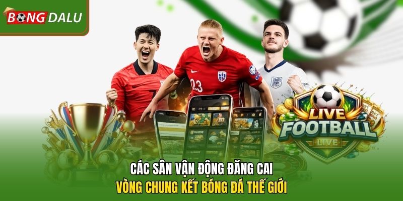 Các sân vận động đăng cai vòng chung kết bóng đá thế giới