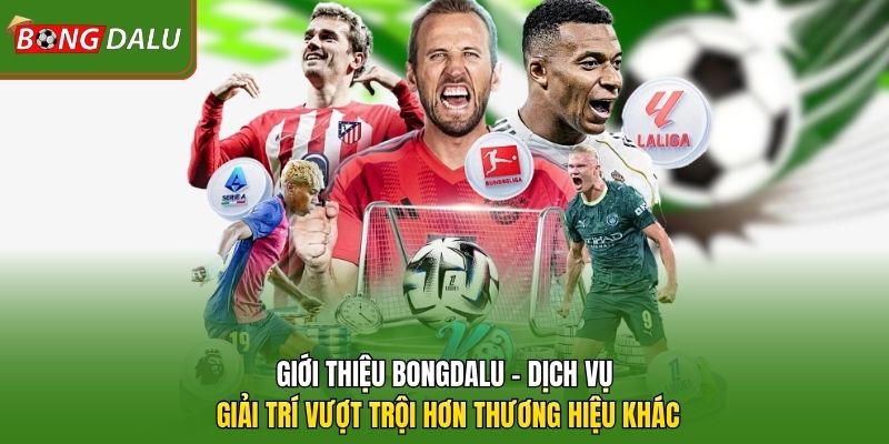 Giới thiệu Bongdalu - Dịch vụ giải trí vượt trội hơn thương hiệu khác 